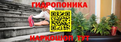каннабис Будённовск