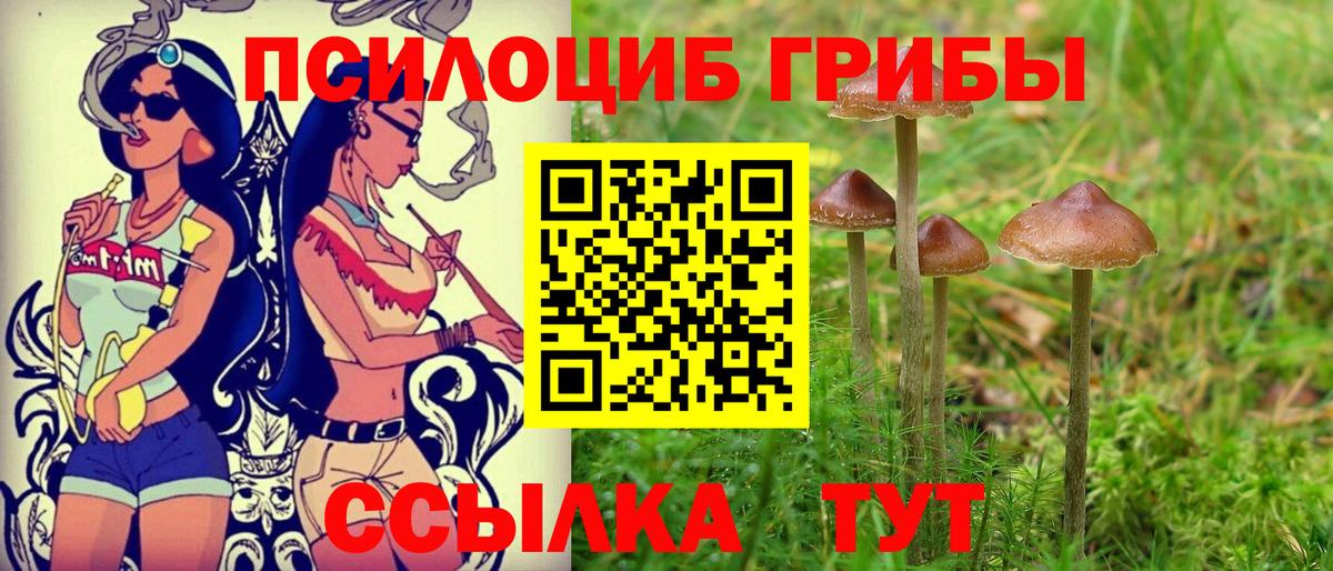 Ульяновск  Псилоцибиновые грибы Psilocybine cubensis  Вход с VPN 